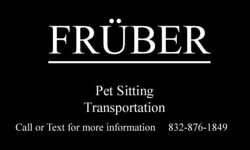 FruberServices.com